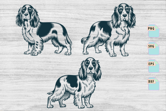 Irish Setter Dog Breed Head Happy Face Review