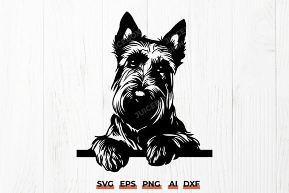 Scottish Terrier Peeking Scottie SVG DXF Review