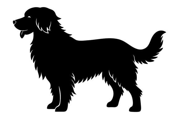 Shaggy Dog Silhouette Graceful Canine Review