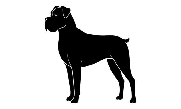 Silhouette of a Powerful Cane Corso Dog