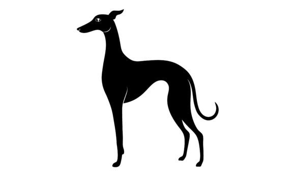 Sleek Silhouette of Greyhound Dog Vector