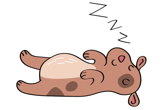 Sleeping Dog Embroidery Design Review